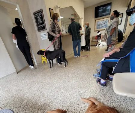 Garden Grove Dog and Cat Hospital
