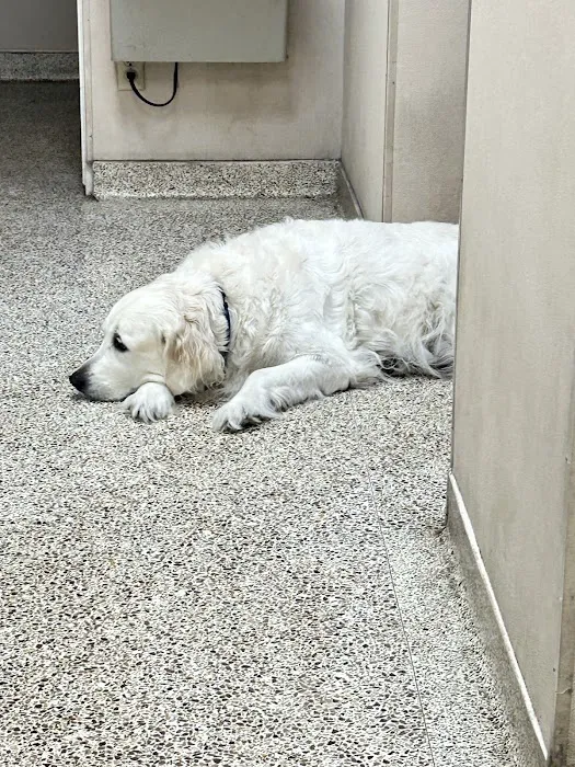 Garden Grove Dog and Cat Hospital Picture 8