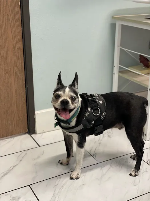 Anchor Animal Hospital Picture 4