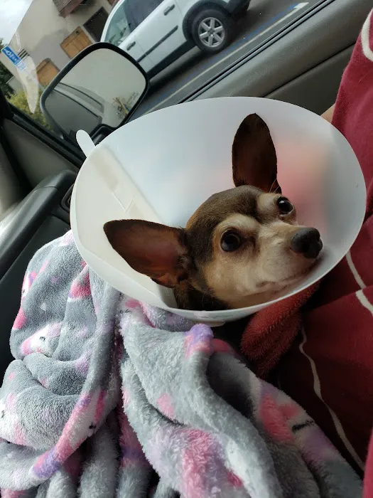 Anchor Animal Hospital Picture 9