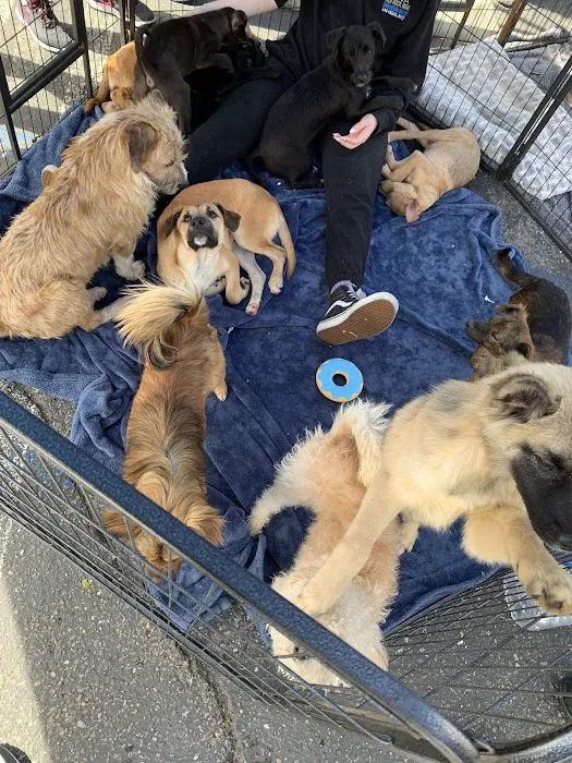 Anchor Animal Hospital Picture 10