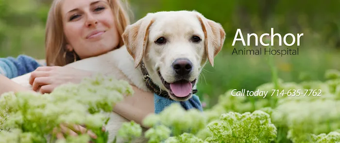 Anchor Animal Hospital Picture 2