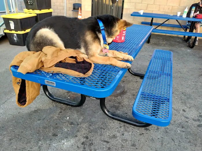 Animal Discount Clinic Picture 8