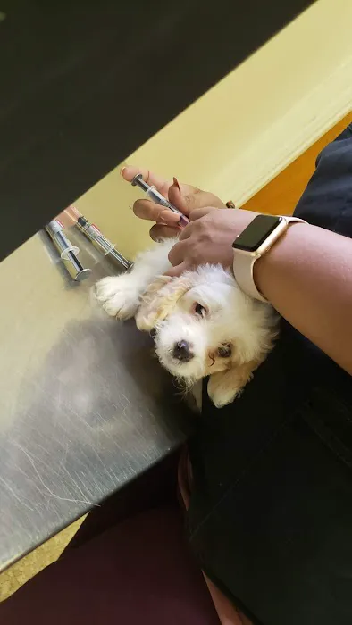 Animal Discount Clinic Picture 6