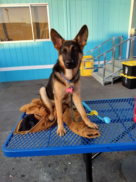 Animal Discount Clinic Picture 2