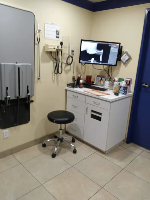 Cottage Pet Hospital Picture 2