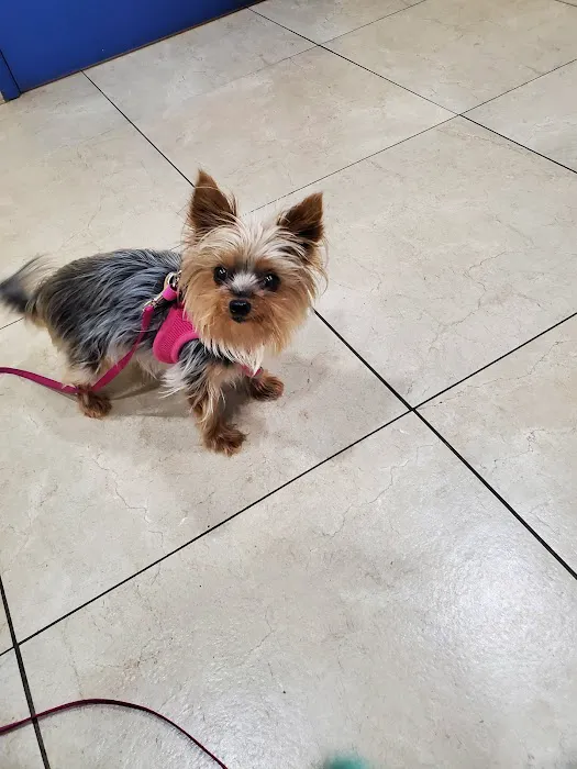Cottage Pet Hospital Picture 10