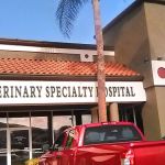 Mobile Animal CT | Southern California