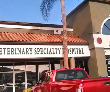 Mobile Animal CT | Southern California