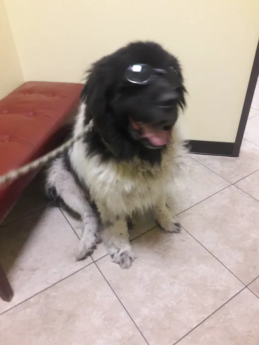 Harbor Pines Veterinary Center Picture 5
