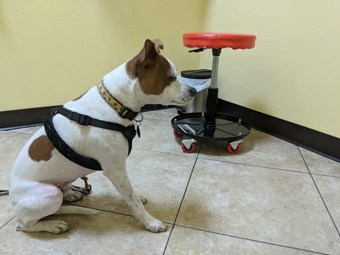 Harbor Pines Veterinary Center Picture 8