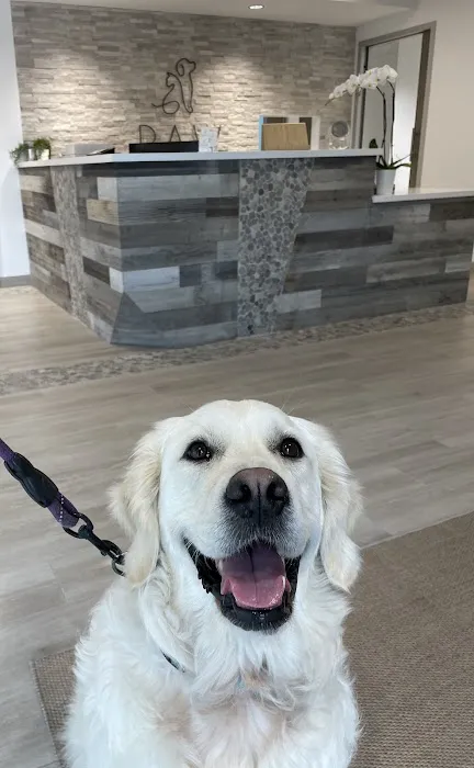 PAW Veterinary Center Picture 5
