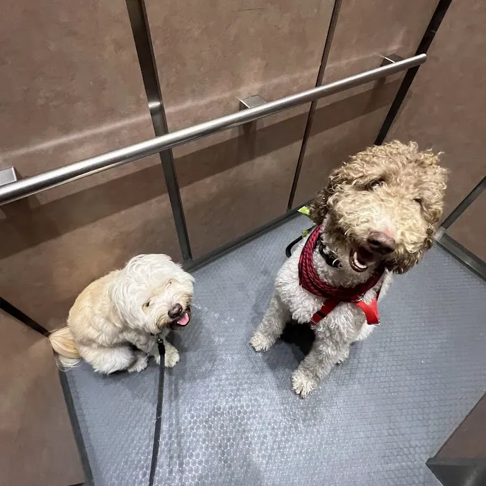 PAW Veterinary Center Picture 8