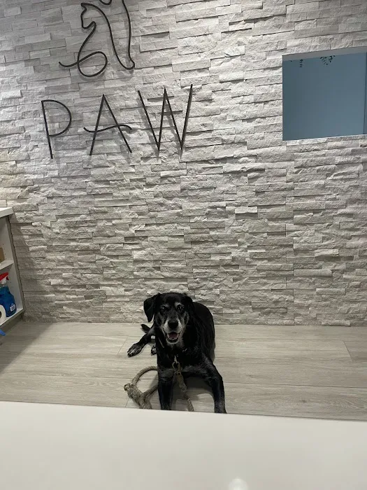 PAW Veterinary Center Picture 4
