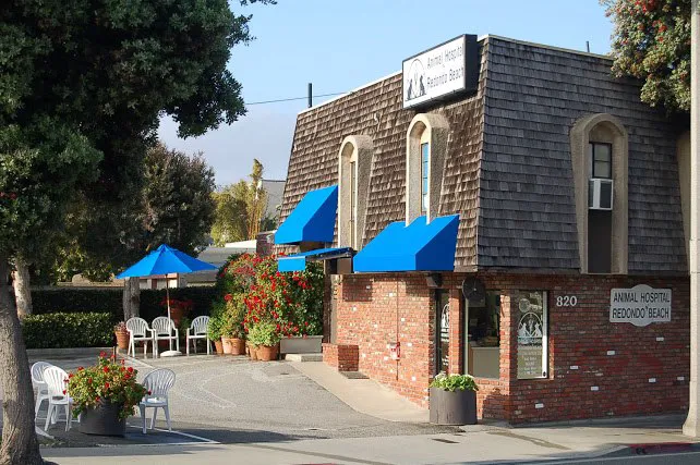 Animal Hospital of Redondo Beach Picture 10