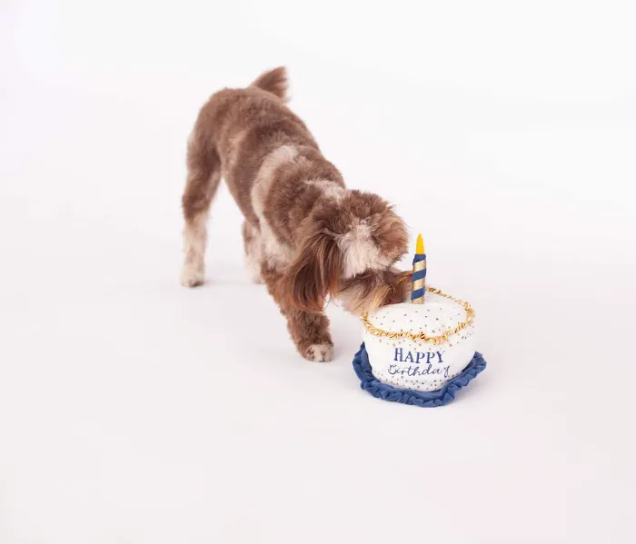 Animal Hospital of Redondo Beach Picture 9