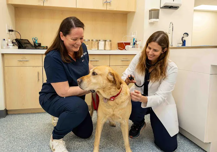 Pacific Coast Animal Hospital Picture 4