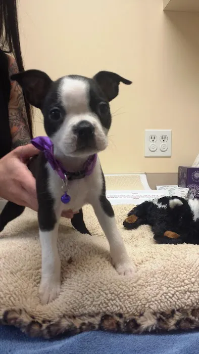 Redondo Shores Veterinary Center Picture 1