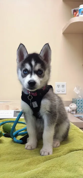 Redondo Shores Veterinary Center Picture 3