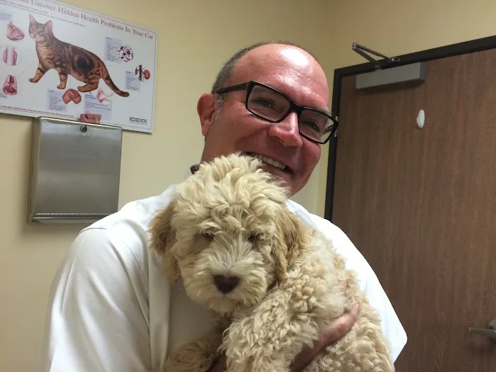 Redondo Shores Veterinary Center Picture 10