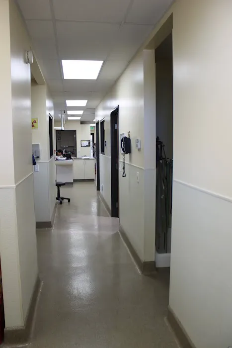 Redondo Shores Veterinary Center Picture 9