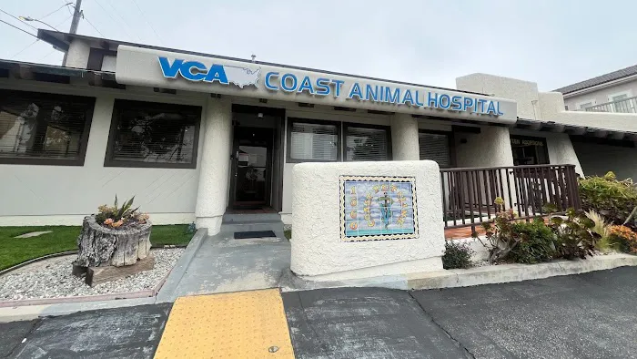 VCA Coast Animal Hospital Picture 2