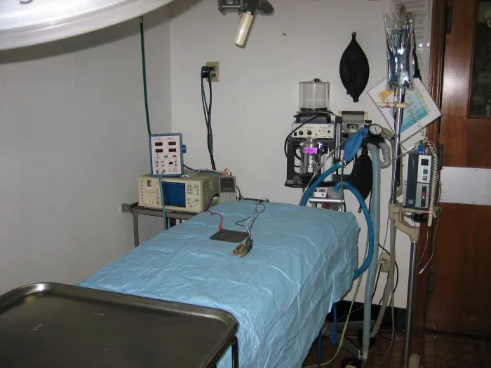 VCA Coast Animal Hospital Picture 1