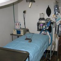 VCA Coast Animal Hospital ico