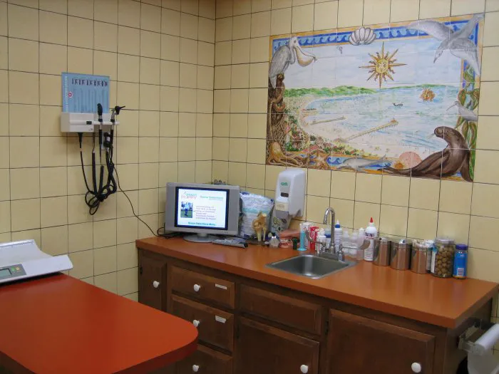 VCA Coast Animal Hospital Picture 8