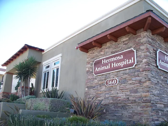 VCA Hermosa Animal Hospital Picture 2