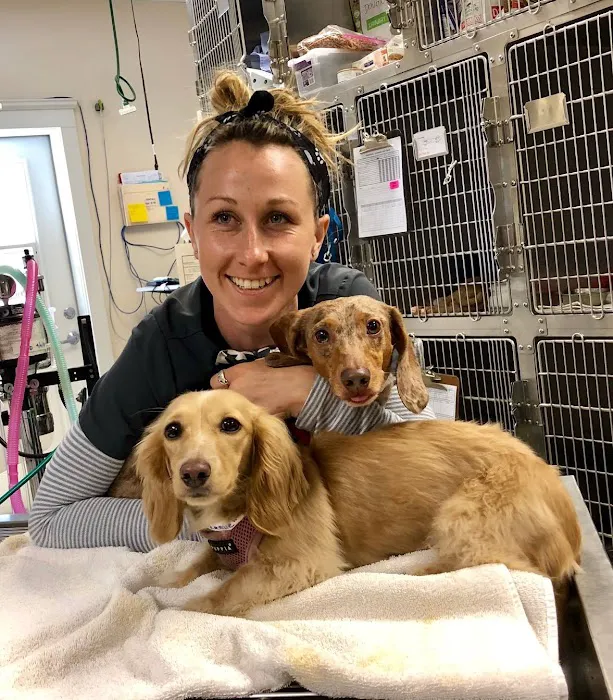 VCA Hermosa Animal Hospital Picture 10