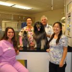 VCA Hermosa Animal Hospital