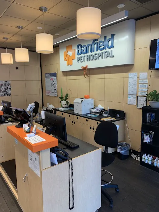 Banfield Pet Hospital Picture 1
