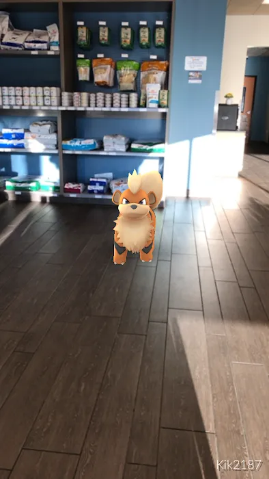 Banfield Pet Hospital Picture 9