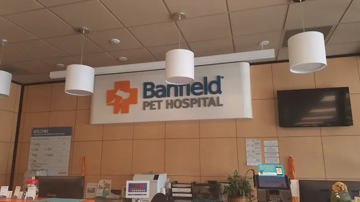 Banfield Pet Hospital Picture 4