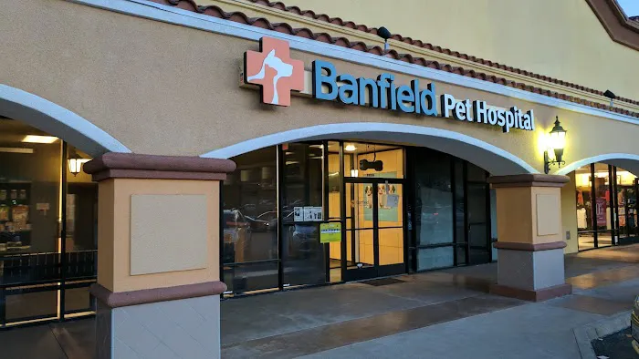 Banfield Pet Hospital Picture 10