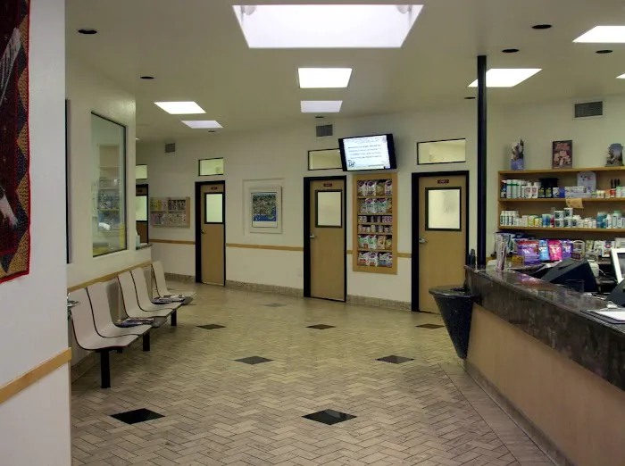 All Pets Veterinary Hospital Picture 1