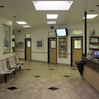 All Pets Veterinary Hospital ico