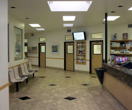 All Pets Veterinary Hospital