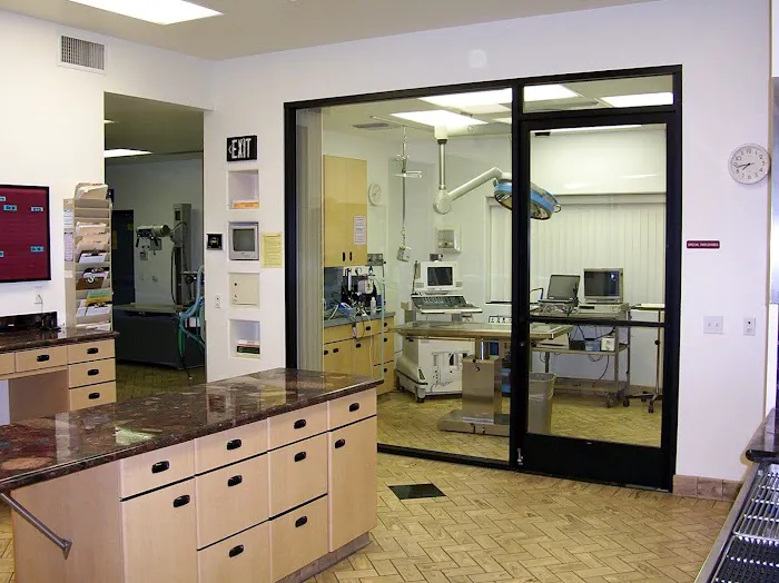 All Pets Veterinary Hospital Picture 2