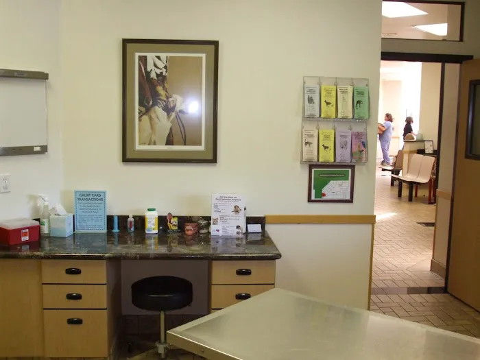 All Pets Veterinary Hospital Picture 6