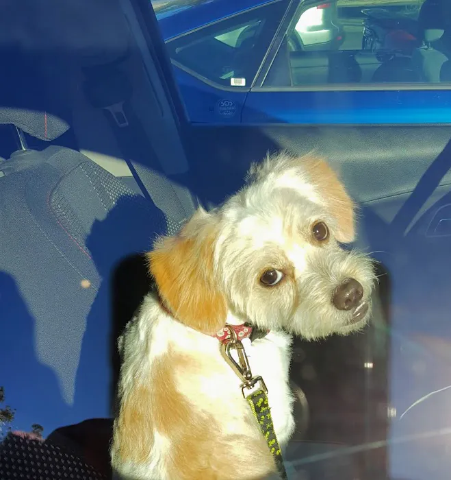 All Pets Veterinary Hospital Picture 7