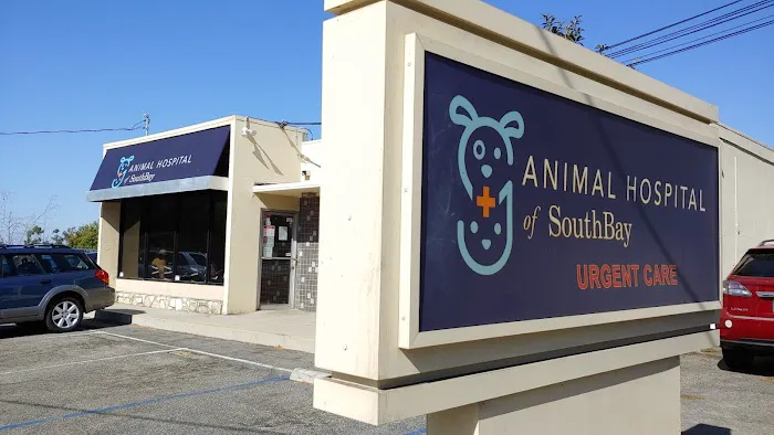 Animal Hospital of South Bay - Rolling Hills Picture 1