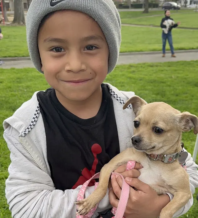CAMP Clinic San Pedro (spay/neuter) Picture 1
