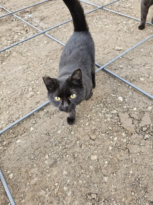 CAMP Clinic San Pedro (spay/neuter) Picture 2
