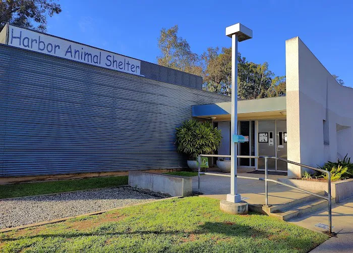 CAMP Clinic San Pedro (spay/neuter) Picture 6