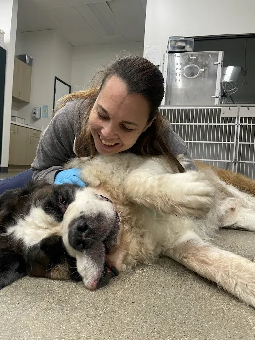 Thrive Pet Healthcare Urgent Care – Torrance Picture 2