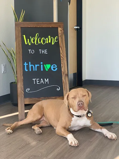 Thrive Pet Healthcare Urgent Care – Torrance Picture 8