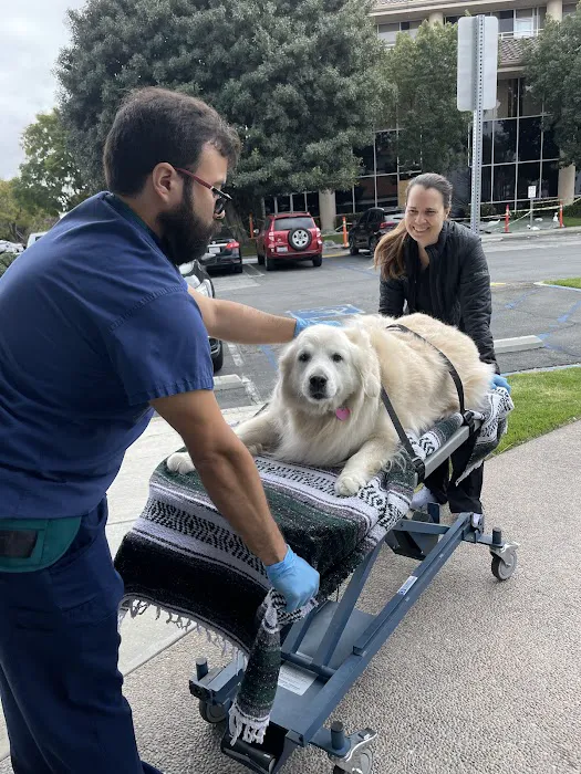 Thrive Pet Healthcare Urgent Care – Torrance Picture 10