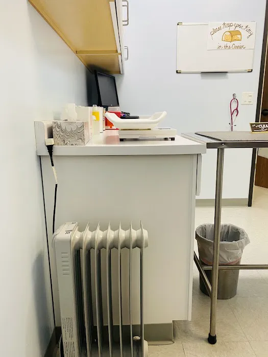 Galloway Cat Clinic Picture 3